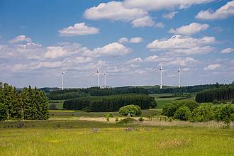 Windpark am Horizont bei Tag